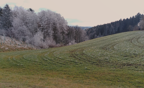 Winterlandschaft